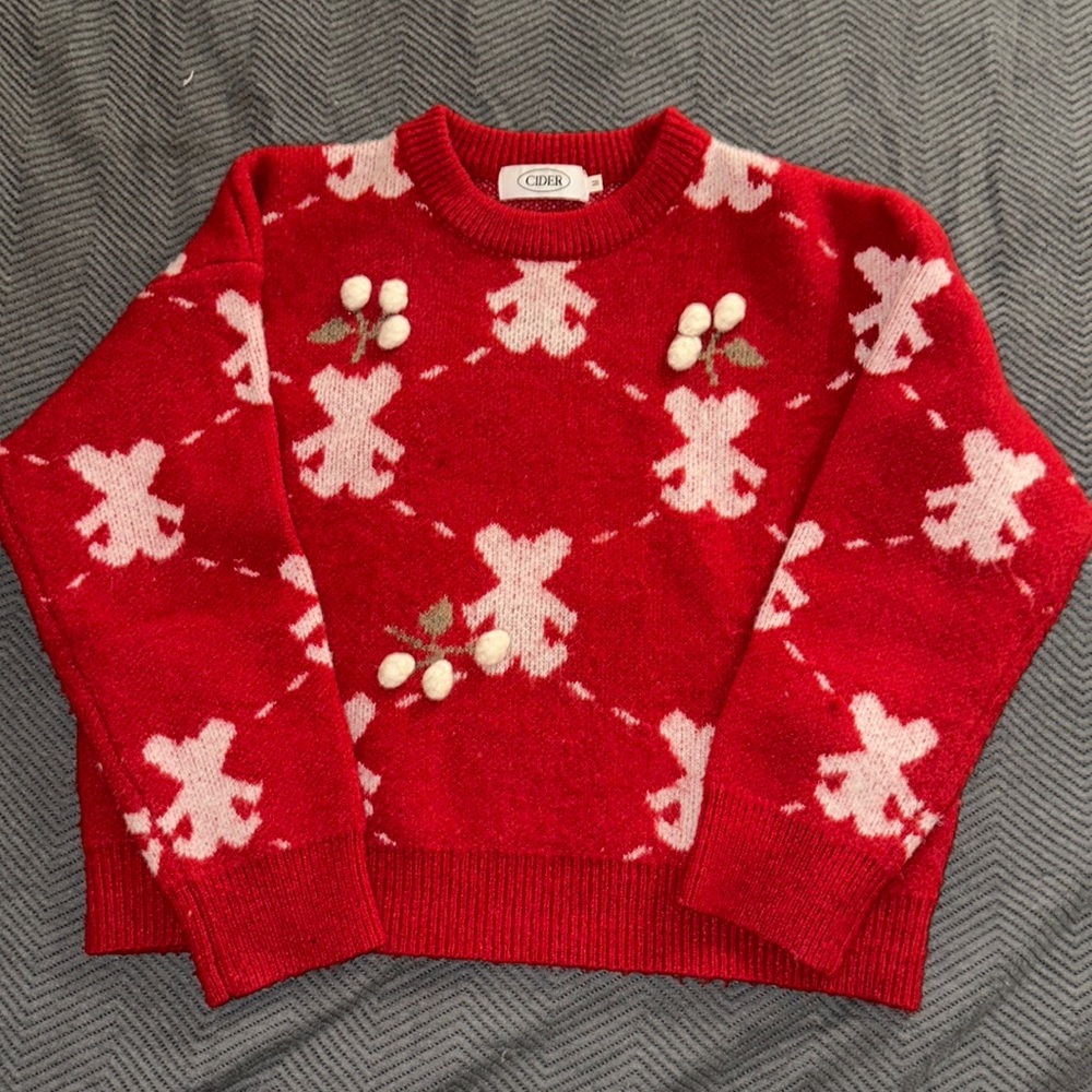 CIDER teddy sweater